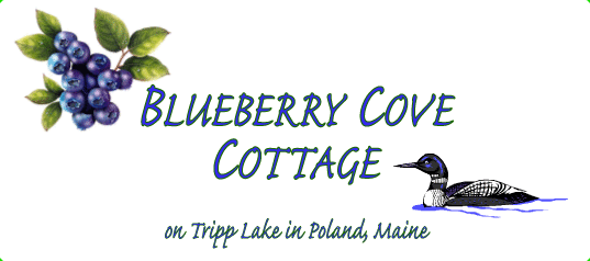 Blueberry Cove Cottage of Poland, Maine - Lakeside vacation rental