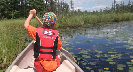 Canoe and explore the wildness of the nearby stream